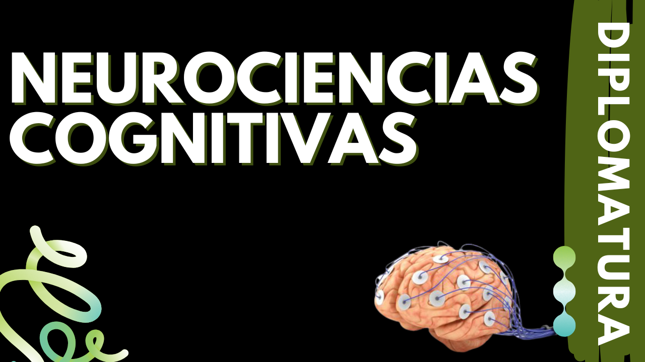 Diplomatura en Neurociencias cognitivas - Edición 2025
